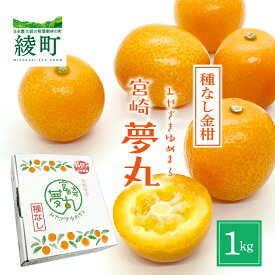 【ふるさと納税】種なし きんかん「宮崎夢丸」 1kg 完熟 金柑 フルーツ 果物 柑橘 希少 特産品 ギフト プレゼント お取り寄せ グルメ 国産 産地直送 送料無料 綾町