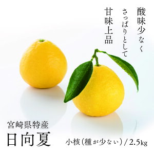 yӂ邳Ɣ[Łzt̏{uāv킪Ȃ 2.5kg ʕ ăt[c  Mtg 