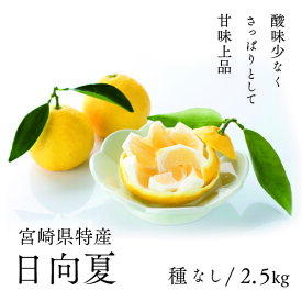 【ふるさと納税】初春の旬「日向夏」種なし 2.5kg　果物 日向夏フルーツ 贈答 ギフト 送料無料