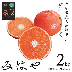 yӂ邳Ɣ[Łz݂͂ 2kg [ϔ] ݂ Mtg  