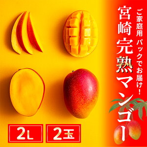 yӂ邳Ɣ[Łzs\ n}S[ 2L×2ʁipbNj/ {茧Y  }S[ ʕ t[c st Yn Ԍ Z ƒp lC 2026N  ӂ邳Ɣ[