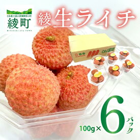 【ふるさと納税】綾町 生ライチ お裾分け セット 600g 100g 6パック ライチ 国産ライチ トロピカルフルーツ 南国フルーツ 果物 国産フルーツ 冷蔵 小分けパック 甘い ジューシー 濃厚 フレッシュ 高級フルーツ お取り寄せ ギフト プレゼント おすそ分け 宮崎県 送料無料