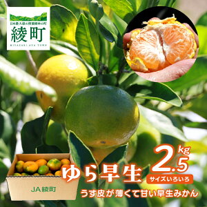 yӂ邳Ɣ[Łzy2025Ns\z瑁݂ 2.5kg TCY~bNX {茧  k ʕ t[c