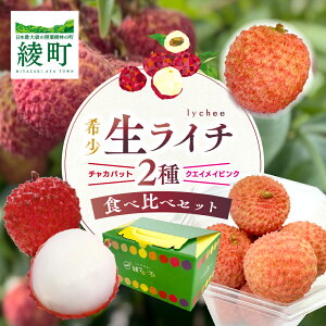 yӂ邳Ɣ[Łz Y C` 2Hה׃Zbg / {茧Y Y C` ʕ t[c st \ Yn Ԍ Â lC  ӂ邳Ɣ[