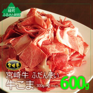 yӂ邳Ɣ[Łzјa A4A5  {苍 A4 600g(300g×2pbN)  A4  Ⓚ tb܎ {茧Y BY ؗ  