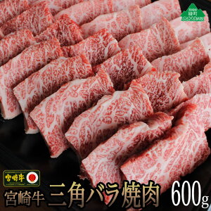 yӂ邳Ɣ[Łz{苍Opoē600g  g΂ g Jr ^ Ⓚ tb܎ {茧Y 