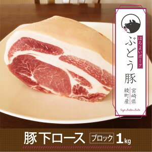 yӂ邳Ɣ[Łz uh Ԃǂ [XubN 1kg ؓ Ԑg g Y {茧Y  Ⓚ 
