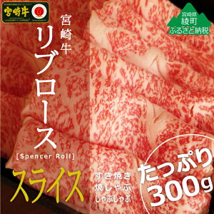 yӂ邳Ɣ[Łzјa A4A5 ~ {苍u[XXCX300g  [X Ԃ Ă ^ Ⓚ tb܎ {茧Y 