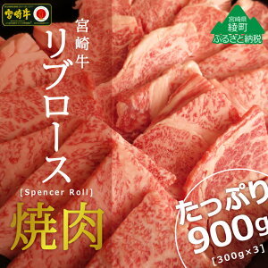 yӂ邳Ɣ[ŁzA4A5 јa {苍u[Xē900g(300g×3)  [X BBQ o[xL[ ^ Ⓚ tb܎ {茧Y 