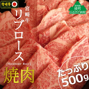 yӂ邳Ɣ[ŁzA4A5 јa {苍u[Xē500g  [X BBQ o[xL[ ^ Ⓚ tb܎ {茧Y 