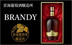 【ふるさと納税】国産 雲海葡萄酒醸造所 ブランデー 720ml 40度 化粧箱入り / 国産ブランデー お酒 酒 洋酒 蒸留酒 国産ぶどう100％使用 家飲み アルコール 贈答 ギフト プレゼント 雲海ワイン 雲海ワイナリー ふるさと納税