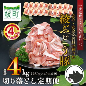yӂ邳Ɣ[ŁzY ؓ uh  Ԃǂ ؂藎Ƃ 4  Zbg w茎 { ͂