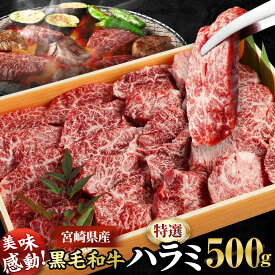 【ふるさと納税】＜宮崎県産黒毛和牛特選ハラミ500g＞ ※入金確認後、2026年9月末迄に順次出荷します。はらみ ホルモン 牛肉 特産品 牛乃屋 キャンプ 宮崎県 高鍋町 【冷凍】