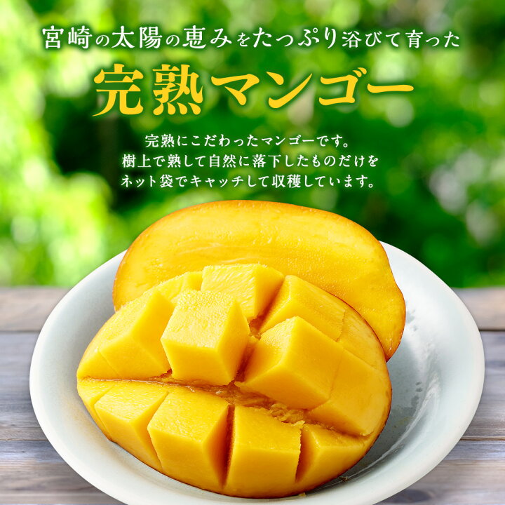 楽天市場】【ふるさと納税】【選べるサイズと個数】＜宮崎県産完熟 