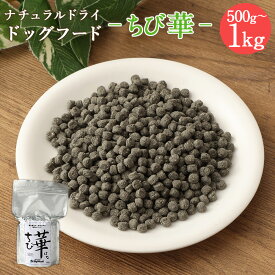 宮崎県高鍋町 ふるさと納税 ちび華