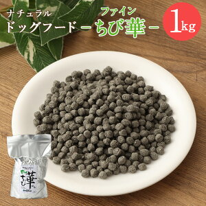 yӂ邳Ɣ[Łzt@Cщ 500g܂́ 1kgɏo Iׂ 500g 1kg hbOt[h  i`hbOt[h n[uz Y p  Nێ {茧 璬 
