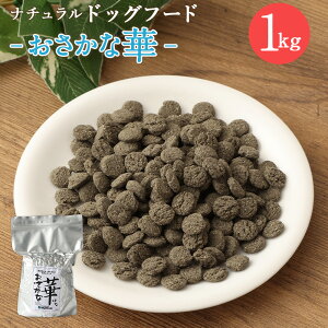 yӂ邳Ɣ[Łzȉ 500g܂́ 1kgɏo Iׂ 500g 1kg hbOt[h ^^Cv i`hbOt[h n[uz Y p  Nێ {茧 