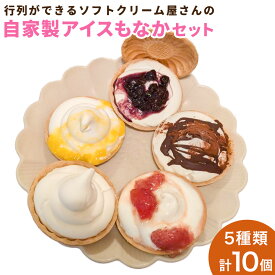 【ふるさと納税】行列ができるソフトクリーム屋さんの＜アイスもなか 5種10個セット＞2か月以内に順次出荷 モナカ 各110ml ミルク いちご マンゴー ブルーベリー チョコ 特産品 新山いちご園 宮崎県 高鍋町 送料無料【冷凍】