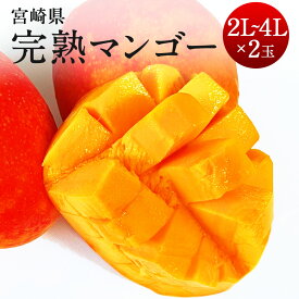 【ふるさと納税】＜宮崎県 完熟マンゴー4L×2玉 1kg＞＜3L×2玉 900g＞＜2L×2玉 700g＞2024年4月下旬～7月中旬迄に順次出荷 マンゴー 2玉 選べる 果物 くだものフルーツ 完熟 トロピカルフルーツの女王 贈答品 ギフト 南国 期間・数量限定 宮崎県 児湯郡 高鍋町 送料無料