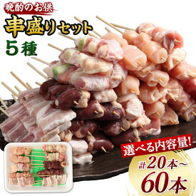 【ふるさと納税】＜ 晩酌のお供 職人串打ちの本格 焼き鳥 串盛り セット 20本/40本/60本 ＞2か月以内に順次出荷 焼鳥 焼き鳥 やきとり 串盛り 若鶏 もも ササミ レバー ネギマ 豚バラ おつまみ 国産 若鶏 宮崎県 高鍋町 冷凍 送料無料