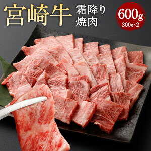 yӂ邳Ɣ[Łz~ē 300g×2ɏo {苍 ~ [X [X ēp ē BBQ o[xL[    јa a B Y Ⓚ {茧 璬 