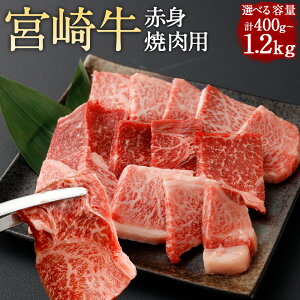 yӂ邳Ɣ[ŁzyIׂeʁz{苍 Ԑgē v400g`1.2kgɏo 400g 800g 1.2kg {苍 Ԑg ē Ă BBQ o[xL[ XCX    јa a B Y 