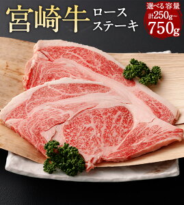 yӂ邳Ɣ[ŁzyIׂeʁz{苍[XXe[L v250g`750gɏo 1250g 250g 500g 750g{苍 Xe[L ~ [X    јa a B Y Ⓚ {