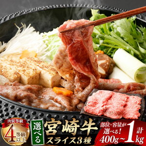 yӂ邳Ɣ[ŁzqIׂ镔ʂƗeʁr 4ȏ {苍 XCX /[X/Ԕ 400g`1kg mFA܂łɏo Ԑg    a ~ 