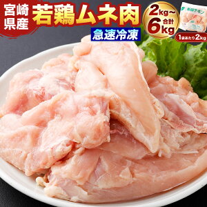 yӂ邳Ɣ[ŁzyIׂeʁz{茧Y {l  2`6kgi2kg×1`3܁jɏo {   l l  { {l `L }Ⓚ Ⓚ BY Y {