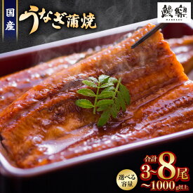 【ふるさと納税】【訳あり】高い！けどうまい！＜国産 うなぎ 鰻 蒲焼き 3尾・4尾 ～ 5尾・6尾 ～ 8尾 330g 〜 1kg ふるさと納税 うなぎ 高級 長蒲焼 鰻 訳あり ウナギ unagi 丑の日 宮崎 高鍋町 人気 ランキング 送料無料