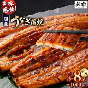 yӂ邳Ɣ[Łzy󂠂zɏVI܂IY Ȃ V Ă 3E4 ` 5E6 ` 8 330g ` 1kg ӂ邳Ɣ[ Ȃ   V 󂠂 EiM unagi N̓ { 璬 lC
