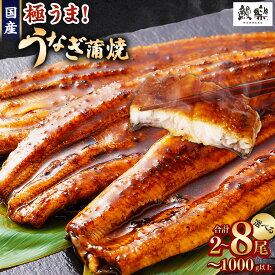 【ふるさと納税】【訳あり】国産うなぎ！＜国産 うなぎ 鰻 蒲焼き 2尾～ 8尾 人気 長蒲焼 鰻 訳あり ウナギ unagi 丑の日 宮崎 高鍋町 ランキング 送料無料 家庭用 おかず【TVで話題沸騰！】