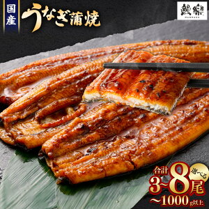 yӂ邳Ɣ[Łzy󂠂zɏVI܂IY Ȃ V Ă 3E4 ` 5E6 ` 8 330g ` 1kg ӂ邳Ɣ[ Ȃ   V 󂠂 EiM unagi N̓ { 璬 lC