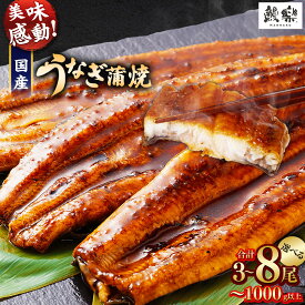 【ふるさと納税】【訳あり】極上鰻！うまい！＜国産 うなぎ 鰻 蒲焼き 3尾・4尾 ～ 5尾・6尾 ～ 8尾 330g 〜 1kg ふるさと納税 うなぎ 高級 長蒲焼 鰻 訳あり ウナギ unagi 丑の日 宮崎 高鍋町 人気 ランキング 送料無料
