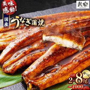 yӂ邳Ɣ[Łzy󂠂zɏVI܂IY Ȃ V Ă 2E3E4 ` 5E6 ` 8 320g ` 1kg ӂ邳Ɣ[ Ȃ   V 󂠂 EiM unagi N̓ { 璬