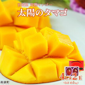 【ふるさと納税】＜宮崎県 完熟マンゴー 太陽のタマゴ 4L×2玉(合計 約1kg)＞ ※2021年5月中旬から7月中旬迄に順次出荷します。 果物 フルーツ 贈答品 ギフト 南国 特産品 宮崎県 児湯郡 高鍋町【冷蔵】
