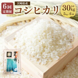 【ふるさと納税】＜6ヶ月定期便 宮崎県産 コシヒカリ 5kg＞※お申込みの翌月下旬頃に第一回目発送 （12月は中旬頃）計30kg 白米 米 お米 精米 おこめ 食品 お取り寄せ 宮崎県 高鍋町 送料無料