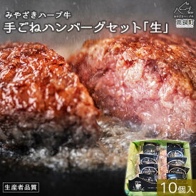 【ふるさと納税】＜みやざきハーブ牛 手ごねハンバーグ「生」（140g×10個）＞ ※入金確認後、翌月末迄に順次出荷します。 約140g×10 牛肉 手作り 藤原牧場 やまんうえ 特産品 宮崎県 高鍋町【冷凍】