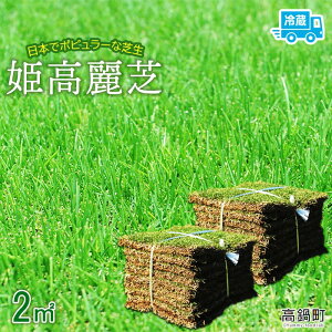 苗 芝生 高麗芝の人気商品 通販 価格比較 価格 Com