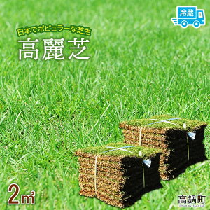 高麗芝の通販 価格比較 価格 Com