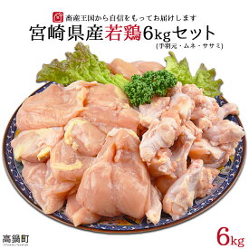 【ふるさと納税】＜宮崎県産若鶏3種 計6kgセット＞ ※入金確認後、翌月末迄に順次出荷します。 むね 胸肉 手羽元 ささみ 鶏肉 花いちもんめ 特産品 宮崎県 高鍋町 【冷凍】