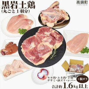 yӂ邳Ɣ[Łzy{(ۂƈH)v1,600gȏいɏo  l H TT~ Y o[ K { Yi q Lv {茧 璬  
