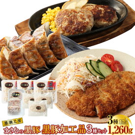 【ふるさと納税】＜黒豚加工品 3種セット ギョーザ ハンバーグ ミルフィーユカツ＞ ※入金確認後、翌々月末迄に順次出荷します 餃子 ぎょうざ ハンバーグ ミルフィーユカツ 豚肉 黒豚100％使用 おかず 手作り 宮崎県 高鍋町 【冷凍】