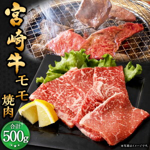 yӂ邳Ɣ[Łz{苍 ē 500gɏo {苍  500g×1pbN  a      ē Ă ₫ɂ Ⓚ  {茧 璬 