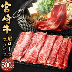 yӂ邳Ɣ[Łz{苍 [XXCX 500gɏo {苍 [X XCX 500g×1pbN  a   [X [X Ⓚ  O {茧 璬