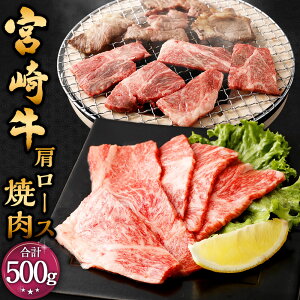yӂ邳Ɣ[Łz{苍 [X ē 500gɏo {苍 [X 500g×1pbN  a   [X [X ē Ă ₫ɂ Ⓚ  {茧 