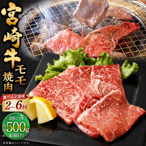 yӂ邳Ɣ[ŁzyIׂցz{苍ē 500gi1pbNF500g×2`6j\݂̗{ɑڔi12͒{j {苍  v1kg`3kg  a   