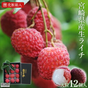 yӂ邳Ɣ[Łzys\z{茧YC`嗱12聄2026N7ɏo C` 䫎} ʕ t[c ʎ p Mtg ~Lt@[ Yi {茧 璬 y①z
