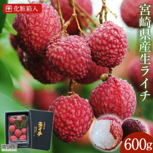 yӂ邳Ɣ[Łzys\z{茧YC`600g2026N7ɏo 䫎} ʕ t[c ʎ p Mtg ~Lt@[ Yi {茧 璬 y①z