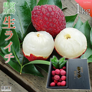 yӂ邳Ɣ[Łzys\z{茧Y C` 1kg2026N7ɏo C` t[c Yi 䫎} ʕ p {茧 璬 ~Lt@[ y①z